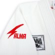 Thunder Gi