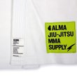 Thunder Gi