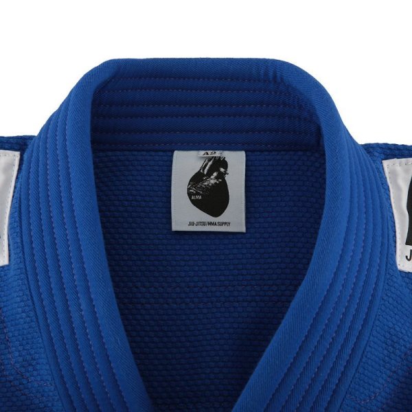 Supernova Gi